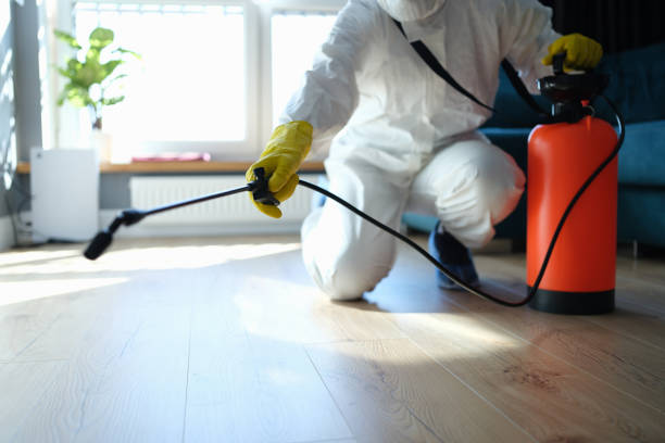 Reliable Sewage Cleanup contractor in San Jacinto, CA by Trauma Clean Pros